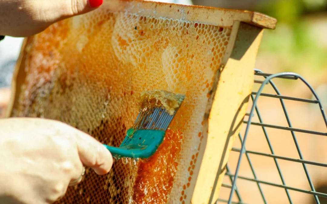 Beeswax: A Versatile Ingredient for Cosmetics, Food and Pharmaceuticals